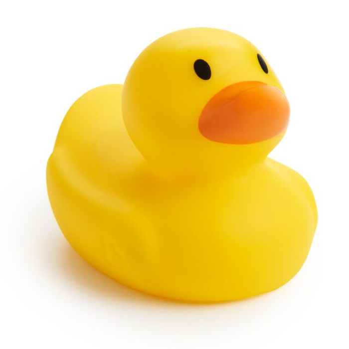 Take Duck