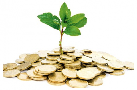 Em Butterfly Treasure Hunt 2020.png, Sutton Hall Norfolk, The 2024 Dementia Fayre was a great success, sams, , Spitfire, May Hub Club, CJC logo, redone coastal connect, Breckland